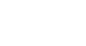 538-logo-feestteam