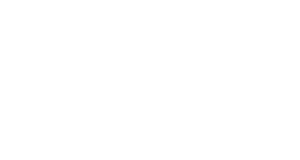 easytoys-logo-feestteam