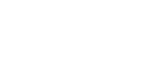transavia-logo-feestteam